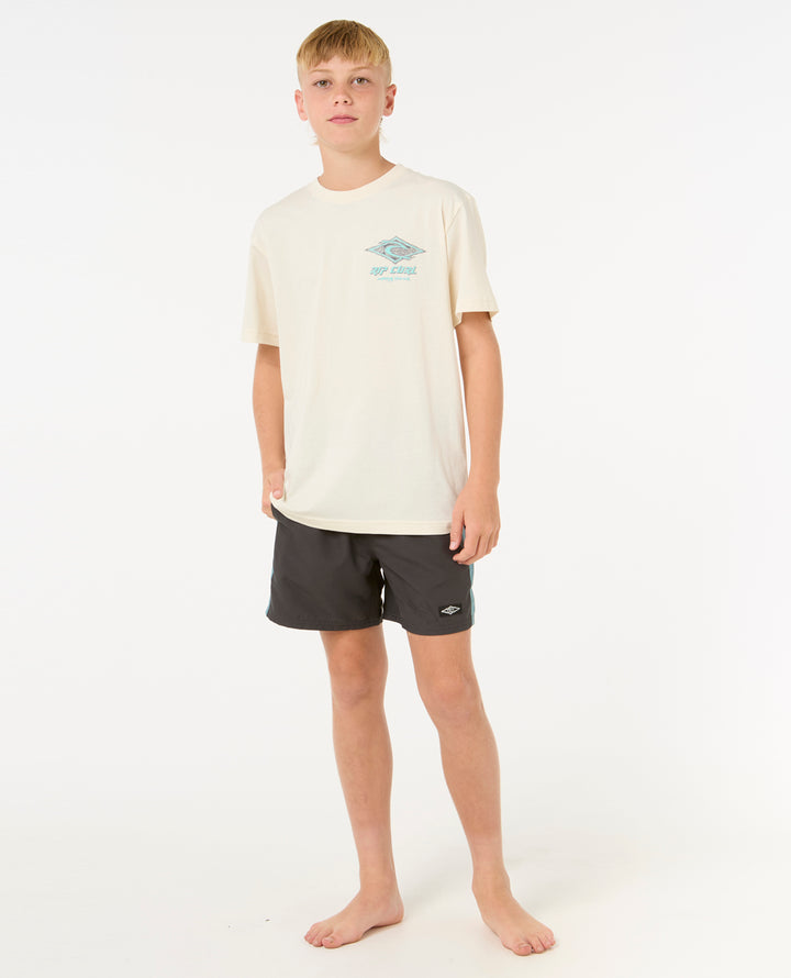 Rip Curl Boy Raw Energy Dolphin Tee - Boy 10WBTE